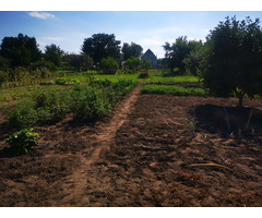 Neues Ruhiges leben! !!!! – Rabattverkauf mit 1.000.000 HUF! Einfamilienhaus zum Verkauf